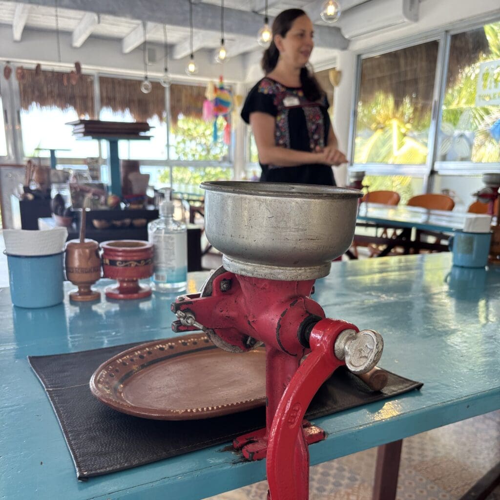 chocolate and wine class in Cozumel while solo cruising